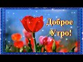 САМОГО ДОБРОГО УТРА! САМОГО  ЛУЧШЕГО ДНЯ!💌🌺🌺🌺КРАСИВАЯ МУЗЫКАЛЬНАЯ ОТКРЫТКА!🌺🌺🌺🌺🌺🌺🌺