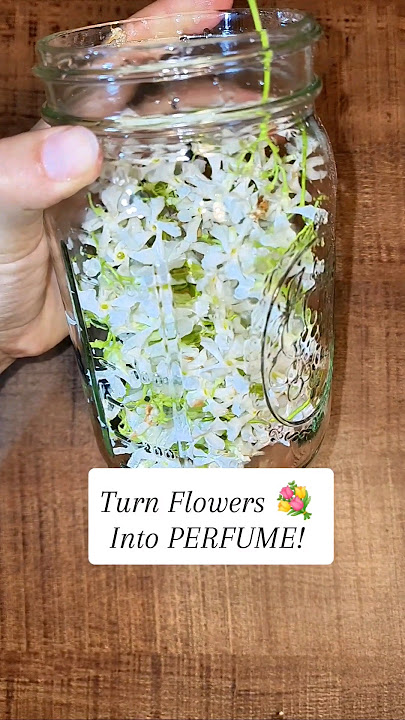 Turn Flowers into PERFUME! Check out the description for the health benefits. ๐ผ๐ป๐ต๐ธ๐