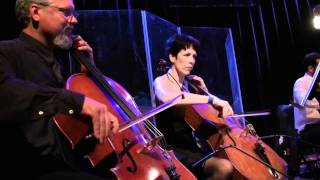 Portland Cello Project perform Pantera's "Mouth for War" (live) chords