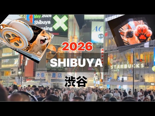 Tokyo Life &Japan Travel •SHIBUYA Weekend Nights | Feel the Energy