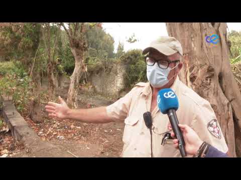 Medio Ambiente establece una zona de cortafuego en las inmediaciones de La Colina