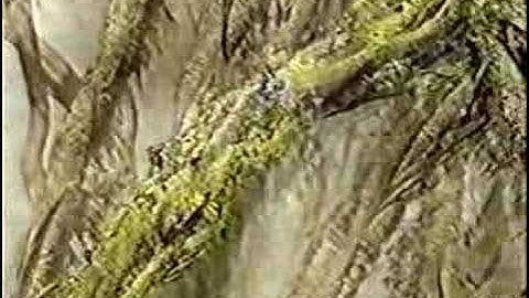 FFIX E2PG - Part 57: Iifa Tree Roots