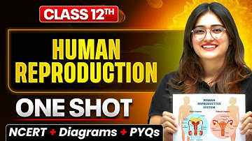 Human Reproduction Class 12 One Shot🔥| NCERT + Diagram + PYQs | Biology Chapter 1