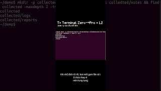 T• mkdir -p: tạo sẵn thư mục đích trước khi bot gom file | L2 (Terminal Zero→Pro) #ubuntu #terminal