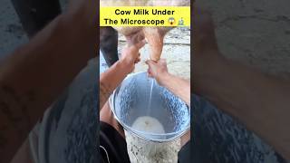 Cow Milk Under The Microscope 😱 #shorts #facts #microscope #milk #shockingfacts #fun