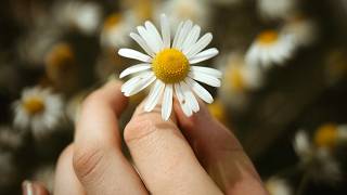 Michelle Bronzo: Simple Self Care After a Loss
