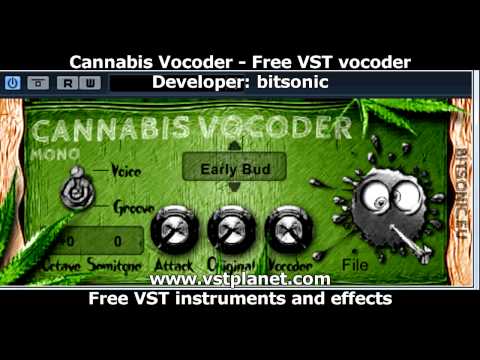 Cannabis Vocoder video preview