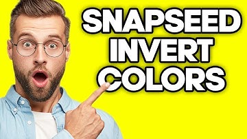 How To Invert Colors in Snapseed (2023)