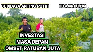 BUDIDAYA ANTING PUTRI (INVESTASI MASA DEPAN)
