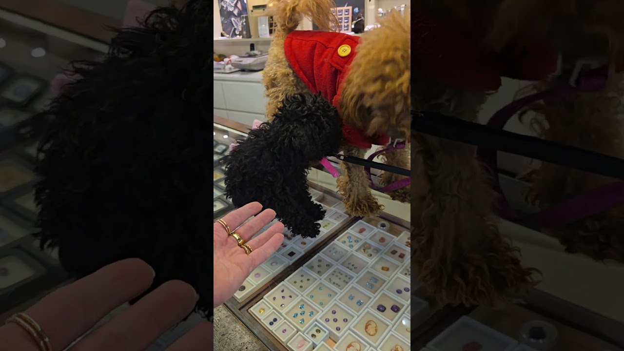 Охрана мощная🥰🥰🥰