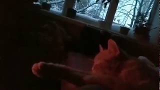 Весенний Уют. Не Хватает Треска Поленьев В Камине...