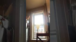 Kima Loso goes live says the opps tried to follow her