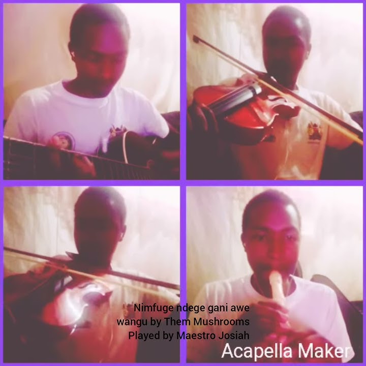 Them Mushrooms nimfuge ndege gani guitar, violin & Recorder