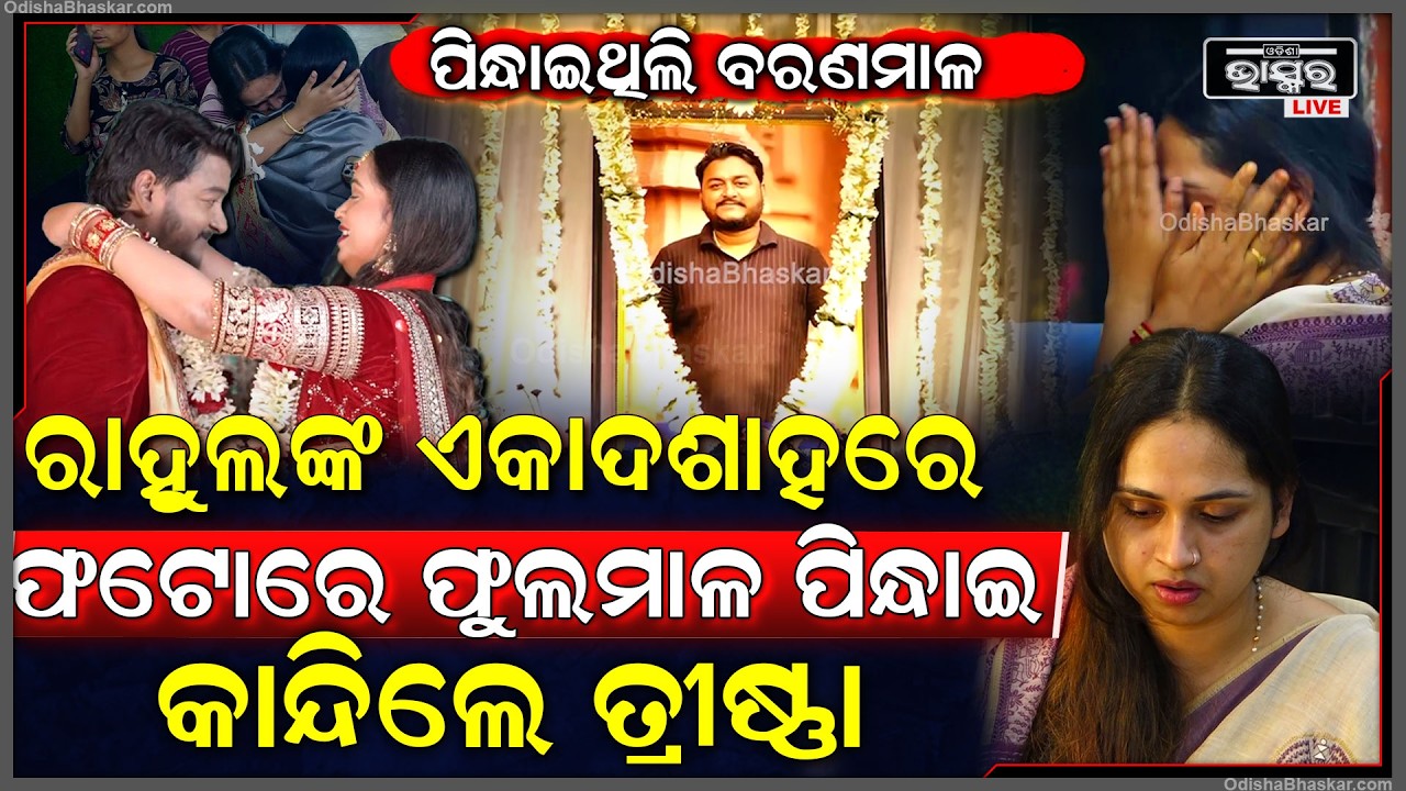 ରାହୁଲ ବେକରେ ବରମାଳ ପକାଇଥିଲେ, ଏବେ ଫଟୋରେ ଫୁଲମାଳ ଦେଖି ଭୋ ଭୋ ହୋଇ କାନ୍ଦିଲେ ସ୍ତ୍ରୀ ତ୍ରୀଷ୍ଣା Youtuber Rahul