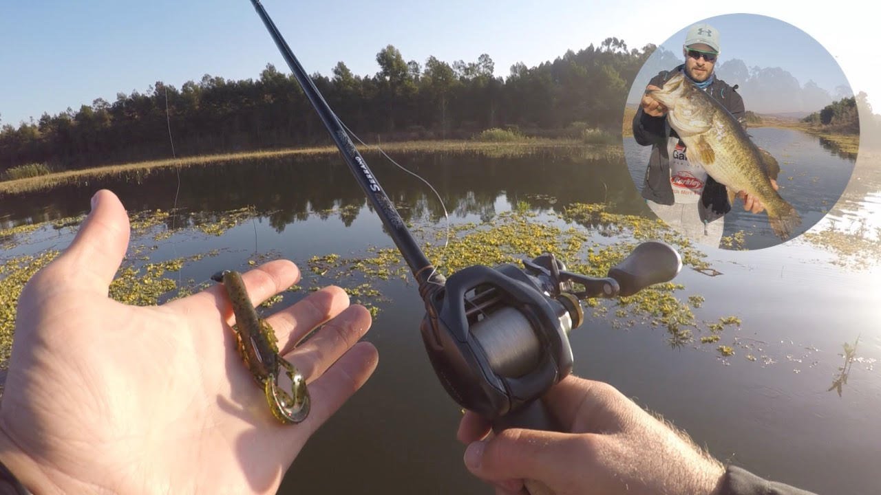Winter Bass fishing in Albert Falls for Swomp Donkeys ! South Africa, KZN. (PB BASS)