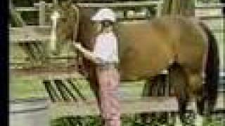 Ground Handling Horses: Approaching a Horse Safely