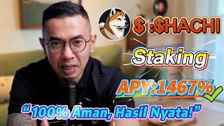 🔥 Tutorial staking $HACHI Solana — profit tinggi 1467% APY!