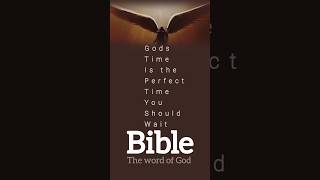 Gods Time  Gods Time Is The Best Time  wisdom message proverbs