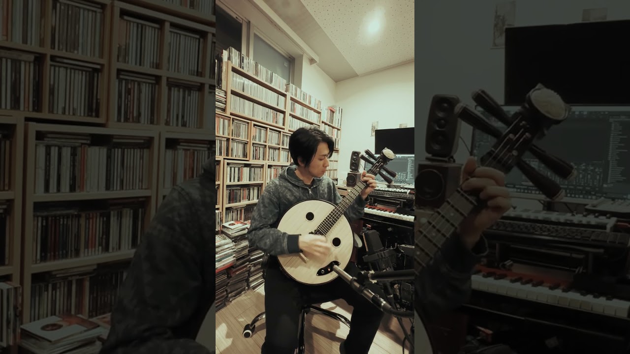 traditional Chinese stringed instrument. (中国の伝統楽器の中阮