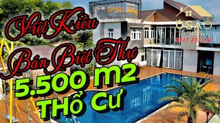 Việt Kiều Mỹ Bán Biệt Thự 5.500m2 Thổ Cư | BDS 6 Sao