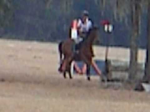 Louisianna Catahoula: Ocala HT, XC Phase