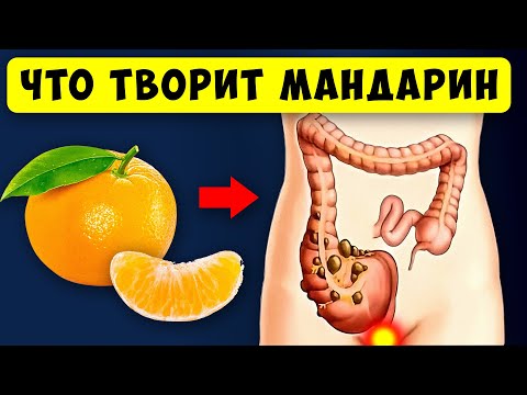 Даже кусочек МАНДАРИНА вызывает НЕОБРАТИМЫЕ ПРОЦЕССЫ в организме человека