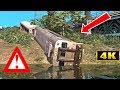 DERAILMENT and CRASH of a PASSENGER TRAIN!!💀😱