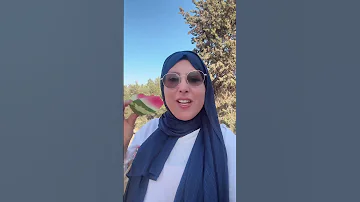 Ibridan 3aman Sdala3 Mashaallah 