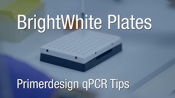 Primerdesign qPCR Tips | BrightWhite Plates
