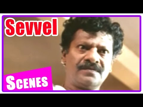 Sevvel Tamil Movie | Scenes | Jai Akash becomes lawyer | Jai Akash joins as Kalabhavan Mani's junior