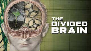 The Divided Brain (2019) | How the Left Brain Hijacked the Modern World