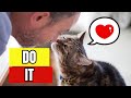 8 Secret Ways to Tell Your Cat You Love Him! (In a way he understands!)