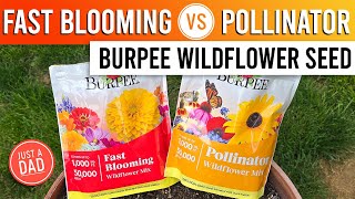 Burpee Wildflower Seed Mix Comparison