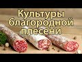 Культуры благородной плесени