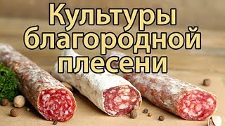 Культуры благородной плесени