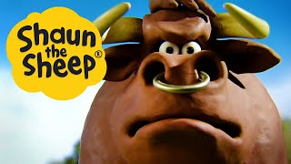 The Bull | Shaun the Sheep | S1 Full Episodes