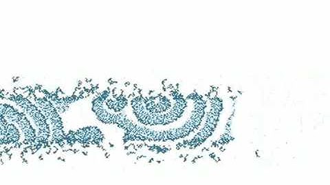 binary fission  -- in an imaginary world