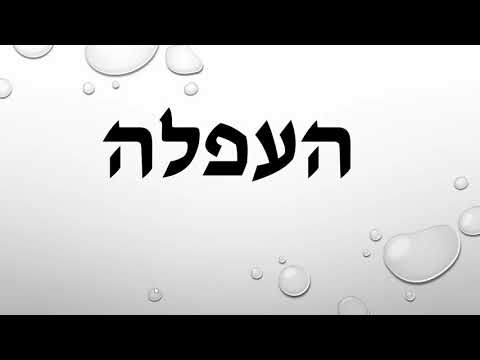 וִידֵאוֹ: תחנת המכ