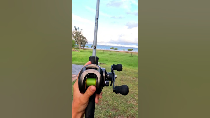 Casting a $20 Temu fishing reel vs a $550 Shimano Calcutta #fishing #australia #temu
