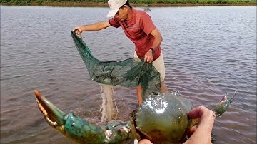 Đặt lú 12 cửa ngục tôm cua thấy ham #5 | Phiêu Lưu Đất Bạc