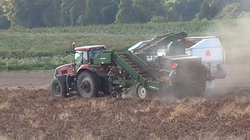 Welcome Fall! Potato Harvest 2025