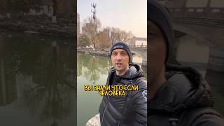 Интересный факт от Зубарева 😂 Нарезки Лучшее #интервью #шортс #shortsvideo