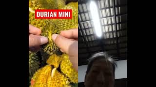 Download Lagu July 22, 2025 MP3