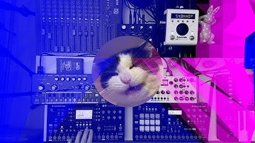 Hardware Techno Jam with Elektron Analog Rytm, Elektron Octatrack, TT-303, Shruthi XT