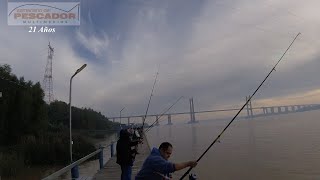 TORNEO DE PESCA 2023 CLUB GUAZU - CAÑAS TELESCOPICAS # 978