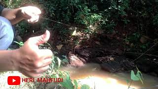 Mancing Ikan Kali Dapat Ikanya Komplit Boss 25 Mei 2023