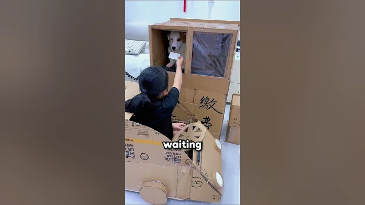 This Girl Built a Cardboard Car for Her Pets 🚗🐱🐶