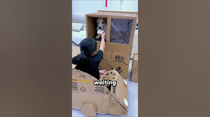 This Girl Built a Cardboard Car for Her Pets 🚗🐱🐶