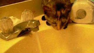 Minda Meets Water.