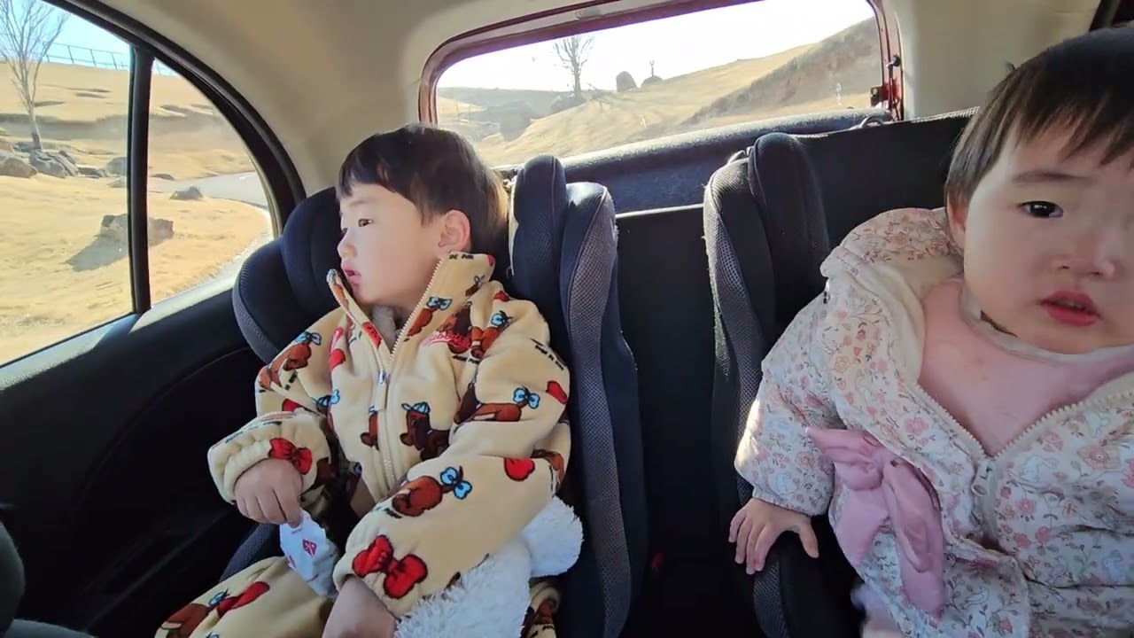 후.호.하. 구마모토 가다(4) : 아프리칸 사파리(in 벳푸)